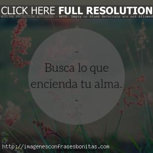 Epicas Frases Motivadoras para Instagram de Autoestima