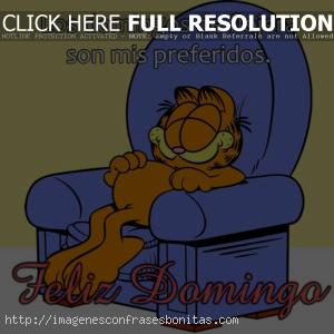 Feliz Domingo Garfield