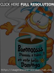 Feliz Domingo Garfield