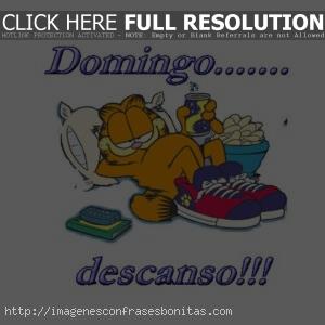 Feliz Domingo Garfield