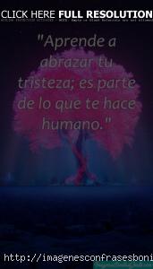Frases Tristes para Llorar y Reflexionar