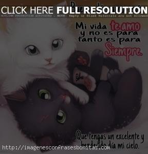 Frases de Buenos Dias Para el Amor De Mi Vida