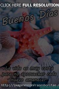 Imágenes de Buenos Días de Verano