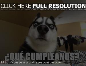 Memes de Feliz Cumpleaños para WhatsApp