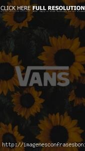 fondos de pantalla Vans Of The Wall