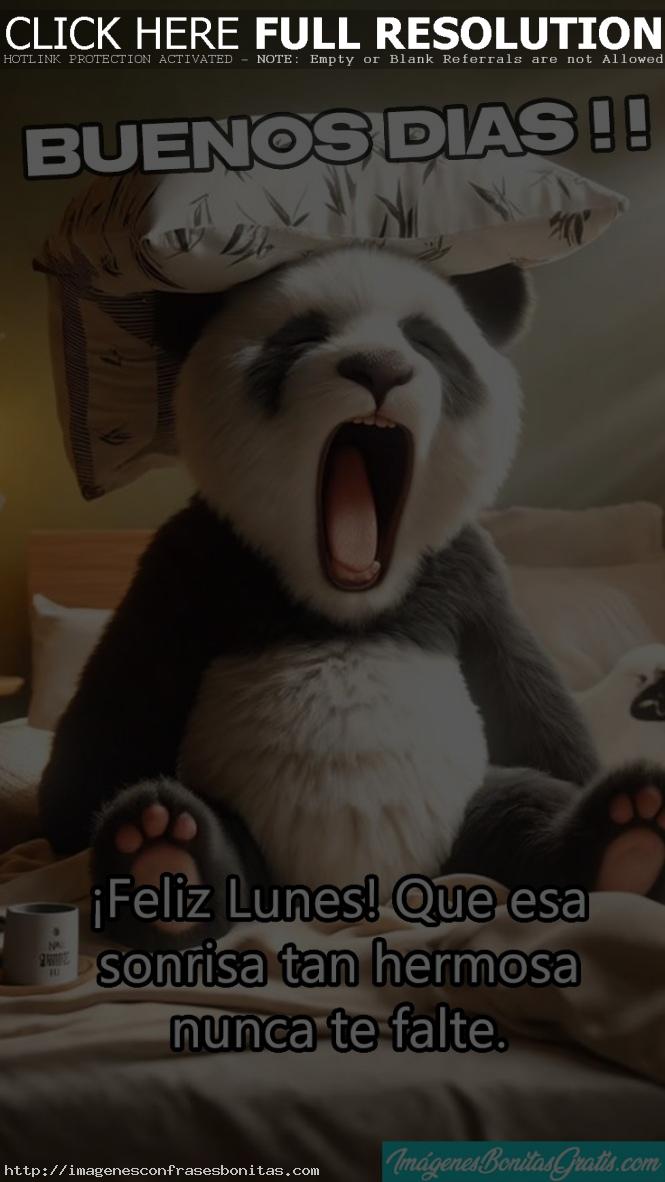 Imagenes de Buenos Dias Lunes con Frases Bonitas