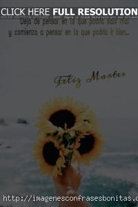 Imágenes con Frases de Buenos Días Feliz Martes Bendecido