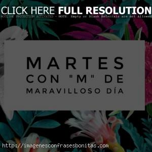 Imágenes con Frases de Buenos Días Feliz Martes Bendecido