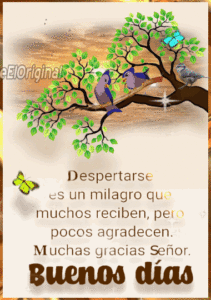 Buenos Días 202 GIF