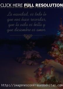 feliz-navidad-tarjetas-mensajes-bonitos-navidenas-1