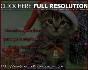 feliz-navidad-tarjetas-mensajes-bonitos-navidenas-3