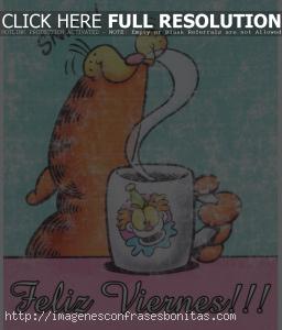 Feliz Viernes Garfield