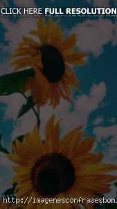 Fondos de Pantalla Retro Vintage HD Para Celular