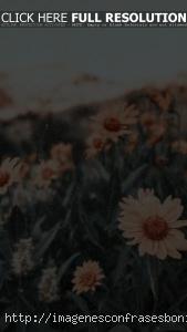 Fondos de Pantalla Retro Vintage HD Para Celular