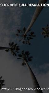 Fondos de Pantalla Playa para iPhone