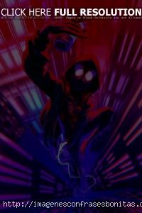 Fondos de Pantalla Spiderman Nuevo Universo 4K Celular