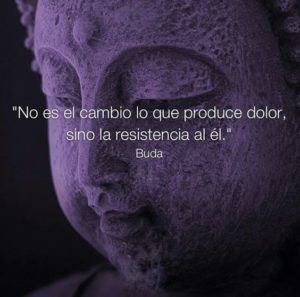 Frases de Equilibrio Budistas Zen Positivas para Reflexionar