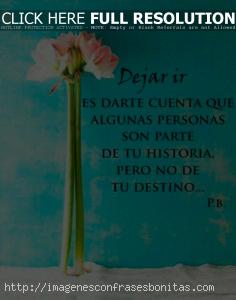 frases de la vida cortas para reflexionar