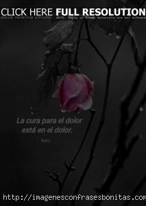 Frases de Tristeza en el Alma