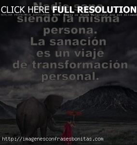 Frases de experiencia y aprendizaje
