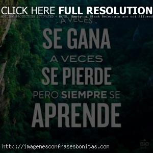 Frases de experiencia y aprendizaje