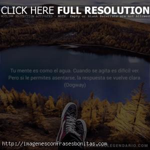 Frases de experiencia y aprendizaje