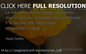 Frases de experiencia y aprendizaje