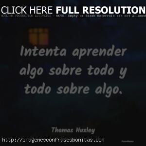 Frases de experiencia y aprendizaje
