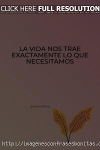 Frases Inspiradoras Cortas