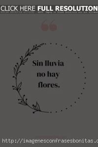 Frases Inspiradoras Cortas