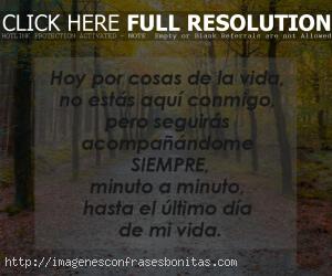 Frases para una Persona que Amas PERO No Está Contigo