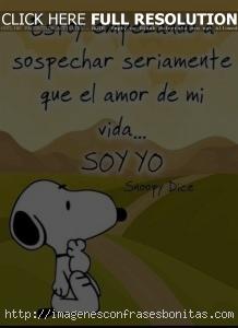 frases de snoopy sobre la vida