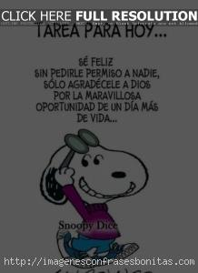frases de snoopy sobre la vida