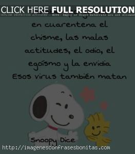 frases de snoopy sobre la vida