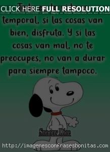 frases de snoopy sobre la vida