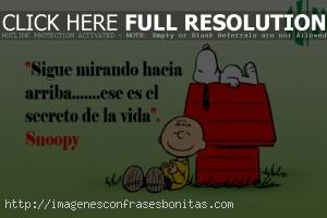 frases de snoopy sobre la vida