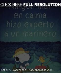 frases de snoopy sobre la vida