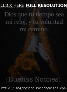 girasoles de feliz noche