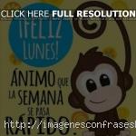 +42 Buenos Días Lunes y Feliz Inicio de Semana