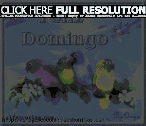 Imágenes con Frases de Feliz Domingo GIF con Movimiento