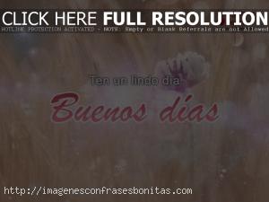 Imágenes de Amanecer Con Frases de Buenos Días