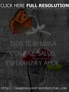 Imágenes de Buenos Días con Frases Lindas Nuevas