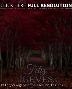 Imágenes de Buenos Días Jueves Otoñales
