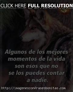Imágenes de Lobos Solitarios con Frases Tristes de Amor