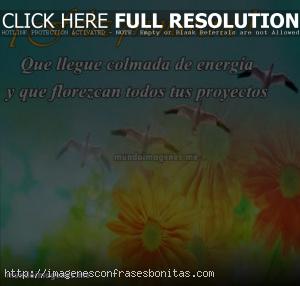 Imágenes con Frases Feliz Día de la Primavera y Estudiantes