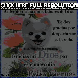 Frases Buenos Días Feliz Viernes GIF con Movimiento