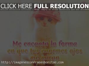 Imágenes de Gatitos Tiernos Enamorados con Frases de Amor