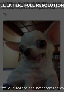 Imágenes Graciosas Para Compartir En WhatsApp