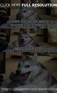 Imágenes Graciosas Para Compartir En WhatsApp