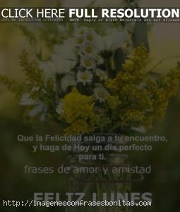 Imágenes con Frases para Desear un Feliz Lunes Bendecido